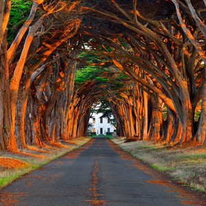 慈祥胡子胖老头(7)

